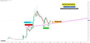 Bororenew Share Price