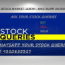 Ask Your Stock Market Query